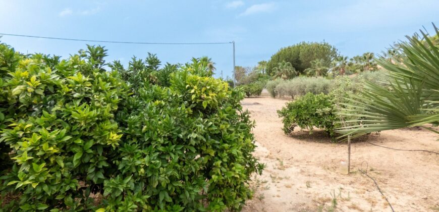 Casa de campo en Matola (Elche)