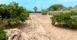 Casa de campo en Matola (Elche)