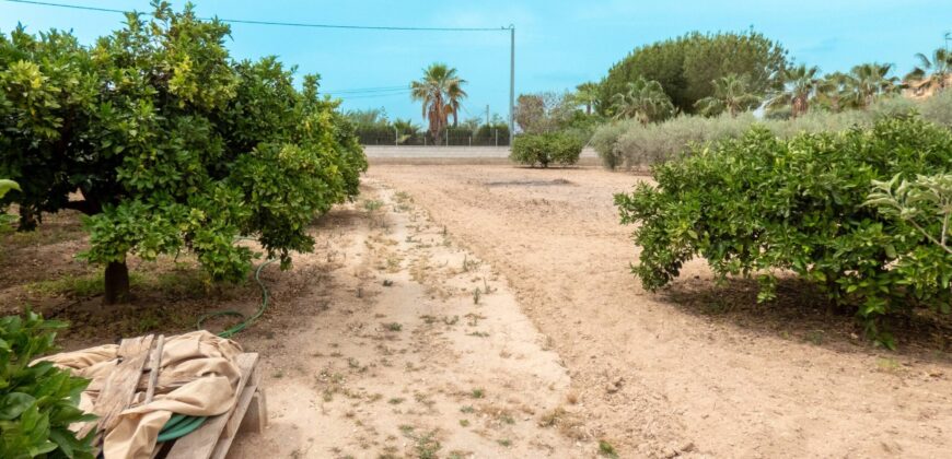 Casa de campo en Matola (Elche)