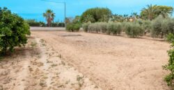 Casa de campo en Matola (Elche)