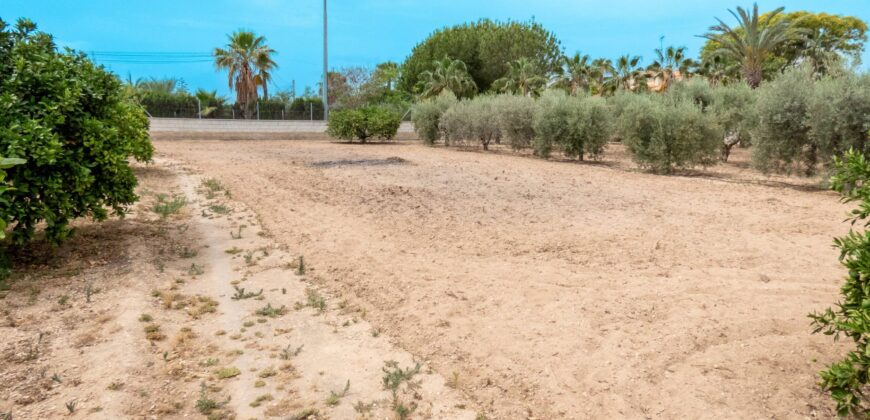 Casa de campo en Matola (Elche)