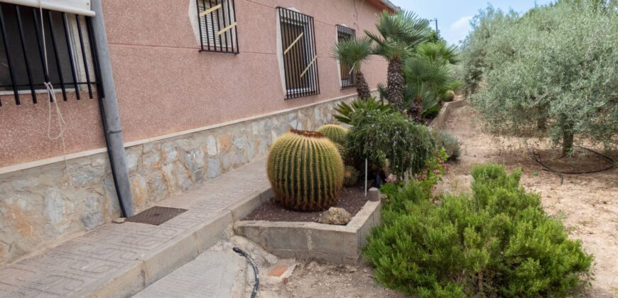 Casa de campo en Matola (Elche)