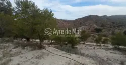 Casa de campo en El Moratell (Jijona)