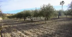 Casa de campo en La Partida de Nuches (Jijona)