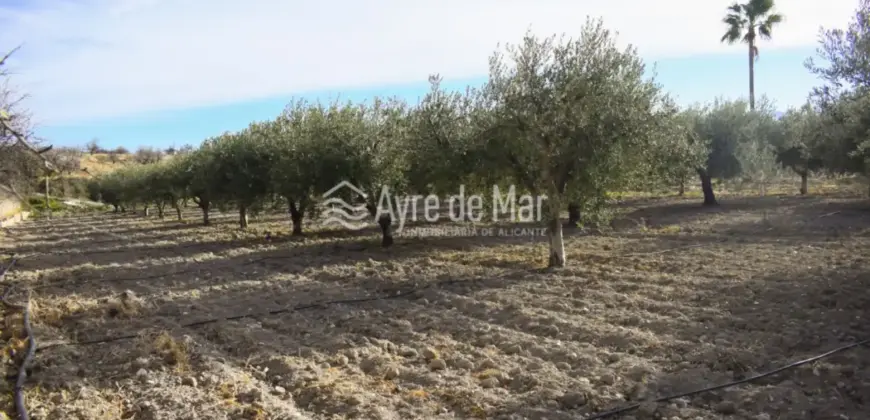 Casa de campo en La Partida de Nuches (Jijona)