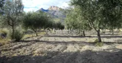 Casa de campo en La Partida de Nuches (Jijona)
