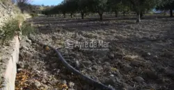 Casa de campo en La Partida de Nuches (Jijona)