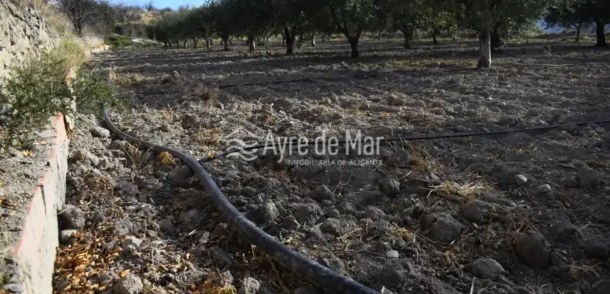 Casa de campo en La Partida de Nuches (Jijona)