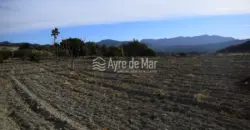 Casa de campo en La Partida de Nuches (Jijona)