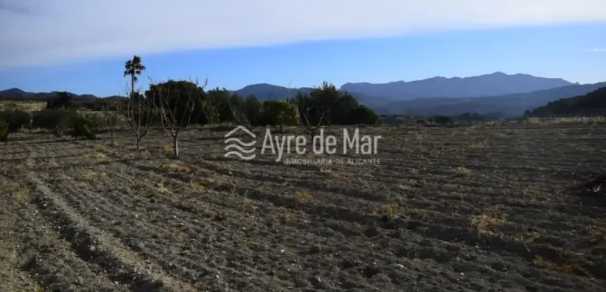 Casa de campo en La Partida de Nuches (Jijona)