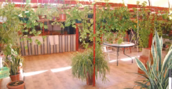 Casa independiente en Parque Lo Torrent (San Vicente del Raspeig) Casa independiente en Parque Lo Torrent (San Vicente del Raspeig)