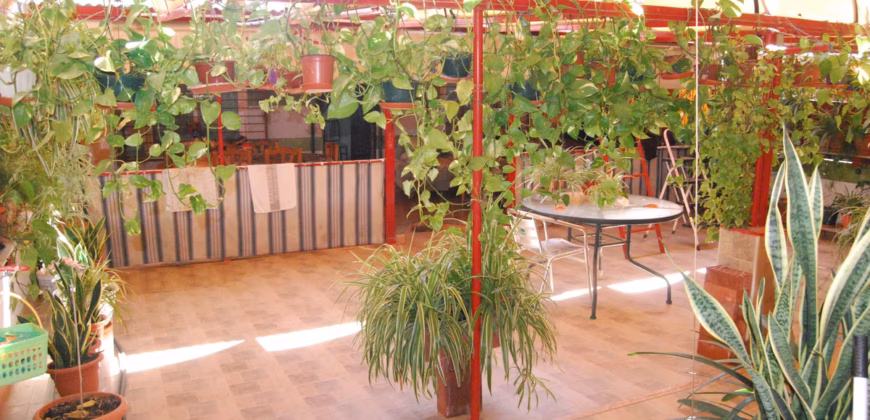 Casa independiente en Parque Lo Torrent (San Vicente del Raspeig) Casa independiente en Parque Lo Torrent (San Vicente del Raspeig)