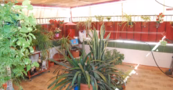 Casa independiente en Parque Lo Torrent (San Vicente del Raspeig) Casa independiente en Parque Lo Torrent (San Vicente del Raspeig)