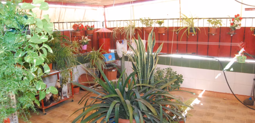 Casa independiente en Parque Lo Torrent (San Vicente del Raspeig) Casa independiente en Parque Lo Torrent (San Vicente del Raspeig)