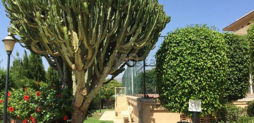 Apartamento en El Campello Playa